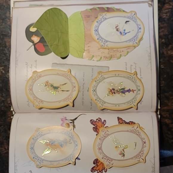 Disney "The Hidden World of Fairies" book - Picture 13 of 16